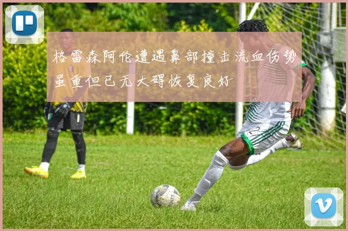 格雷森阿伦遭遇鼻部撞击流血伤势虽重但已无大碍恢复良好